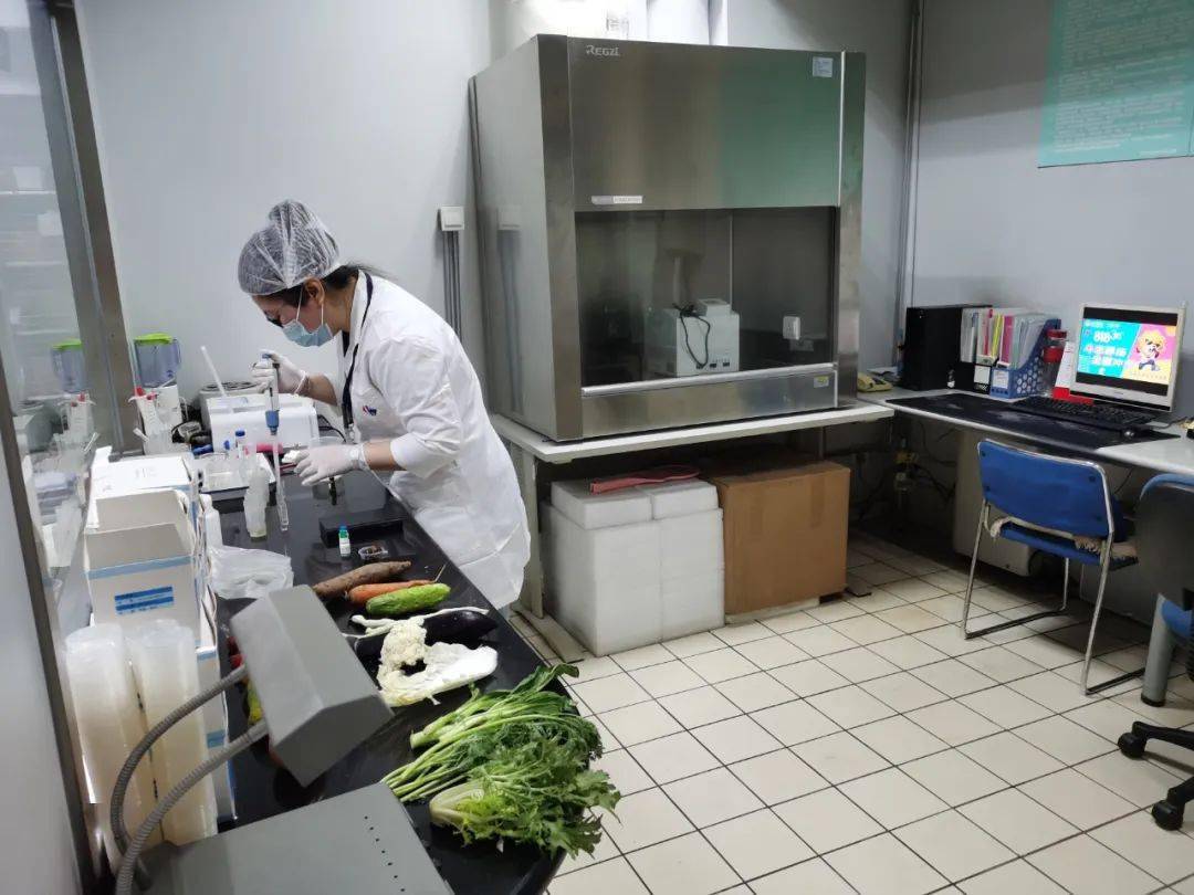 揭西食品检测实验室装修方案